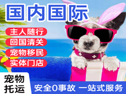 天津机场货运国际宠物托运 【国